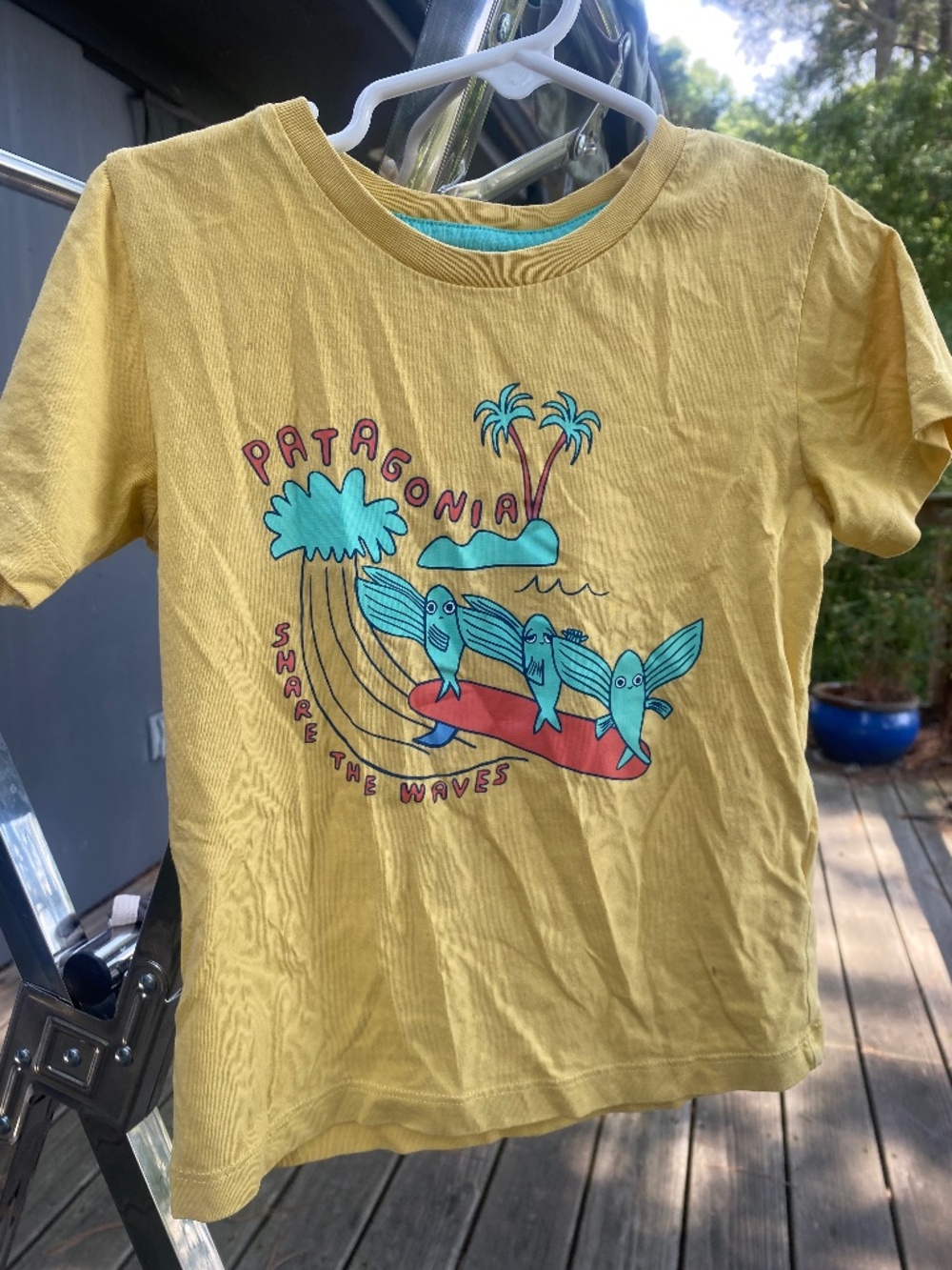 Patagonia Organic Cotton T-shirt 3T